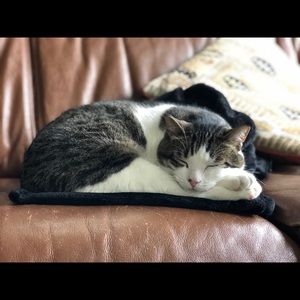 Meet your Posher, Kathleen